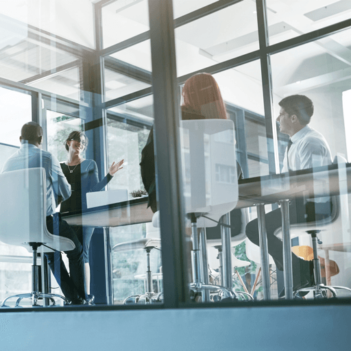 SAP ERP Customers